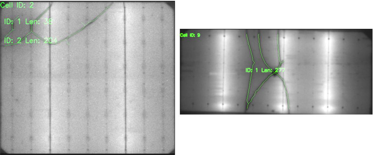 Fig. 3 Refer to the following caption and surrounding text.