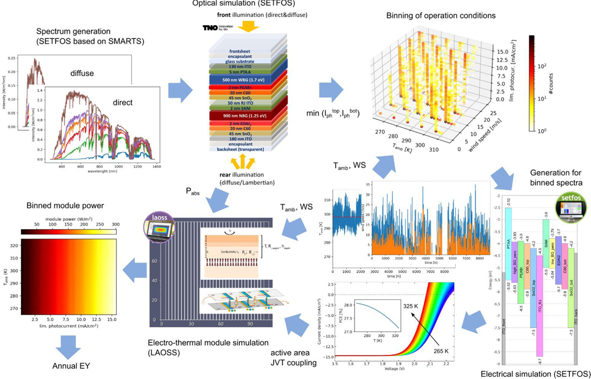 Fig. 1 Refer to the following caption and surrounding text.