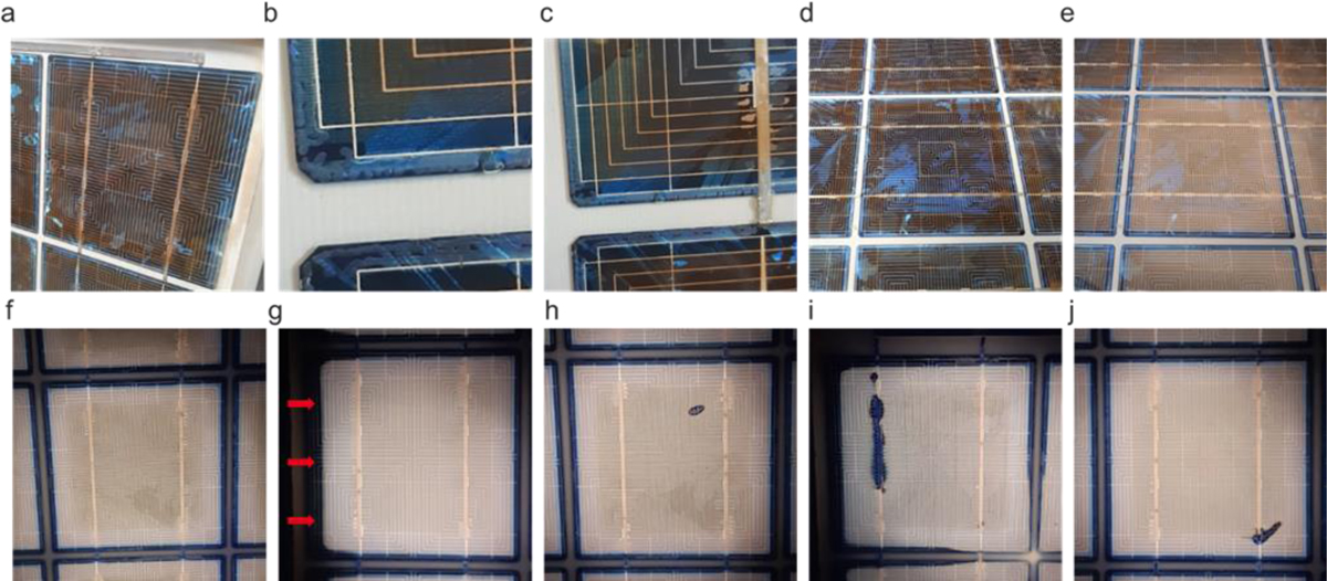 Fig. 6 Refer to the following caption and surrounding text.