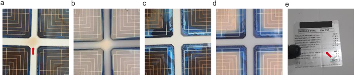 Fig. 7 Refer to the following caption and surrounding text.