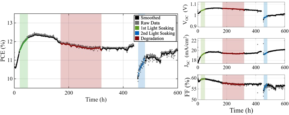 Fig. 2 Refer to the following caption and surrounding text.