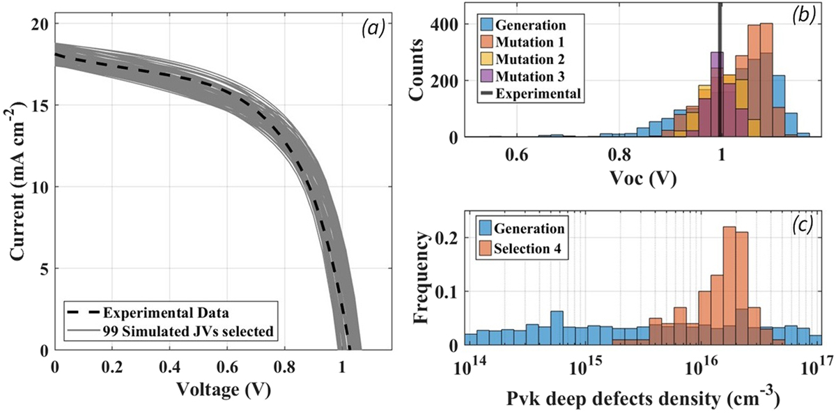 Fig. 5 Refer to the following caption and surrounding text.