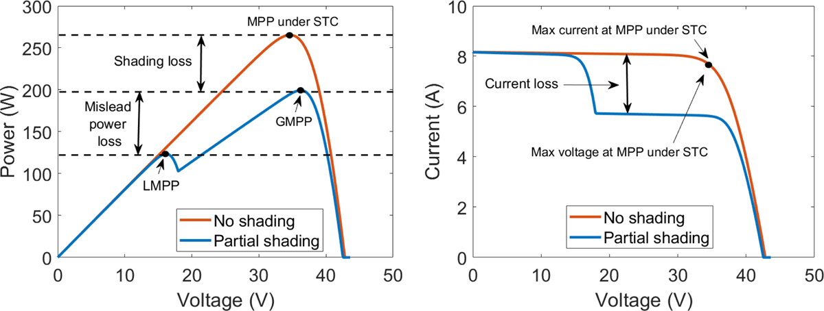 Fig. 3 Refer to the following caption and surrounding text.